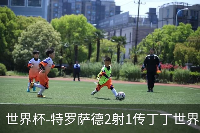 世界杯-特罗萨德2射1传丁丁世界波 比利时5-1新西兰获头名